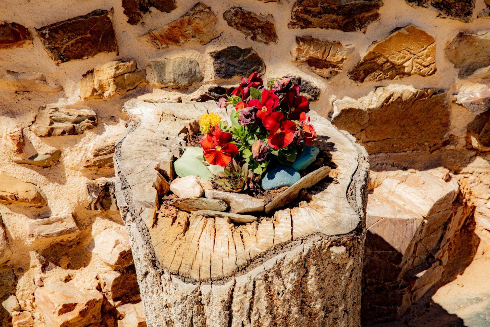 Гостьовий будинок Via Avis Santa Catalina de Somoza Екстер'єр фото